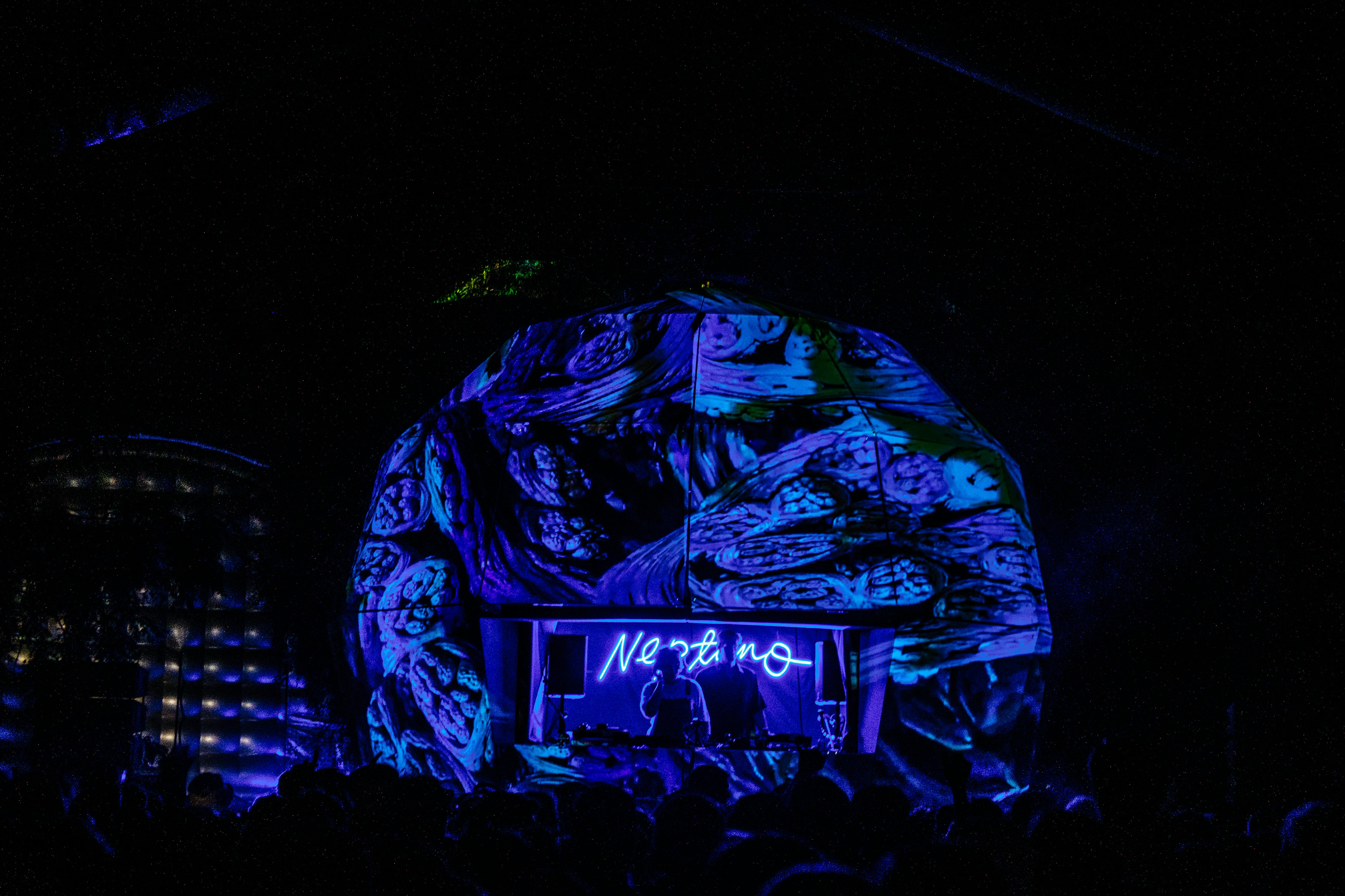 Neptuno Stage, Nest Fest 2022 - designed and built by Fish Aberadi, visuals by Creature Post. Photo by Cam Hay.