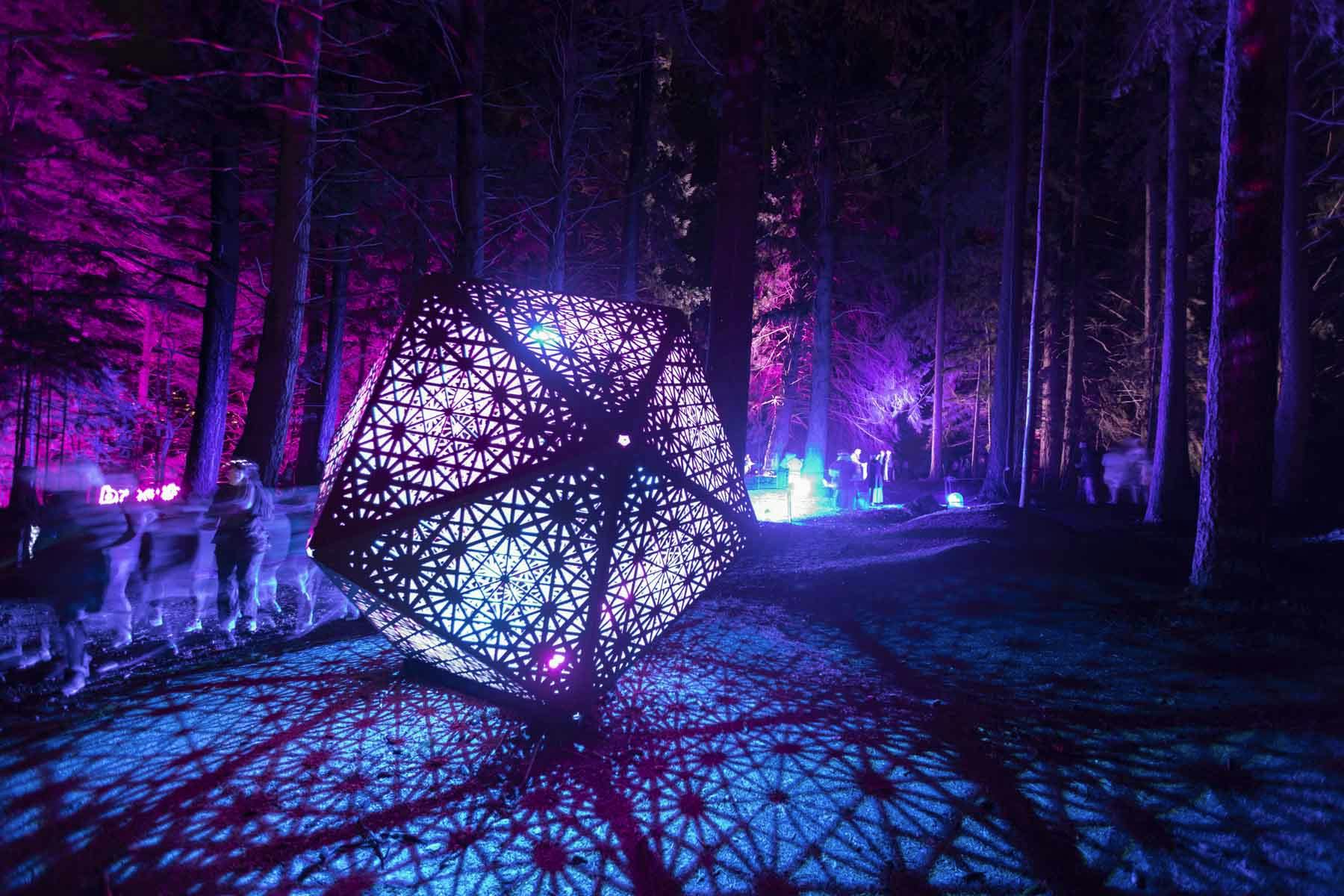 Icozo by HYBYCOZO at LUMA 2019. Photo by Tomas Whelan Henderson.